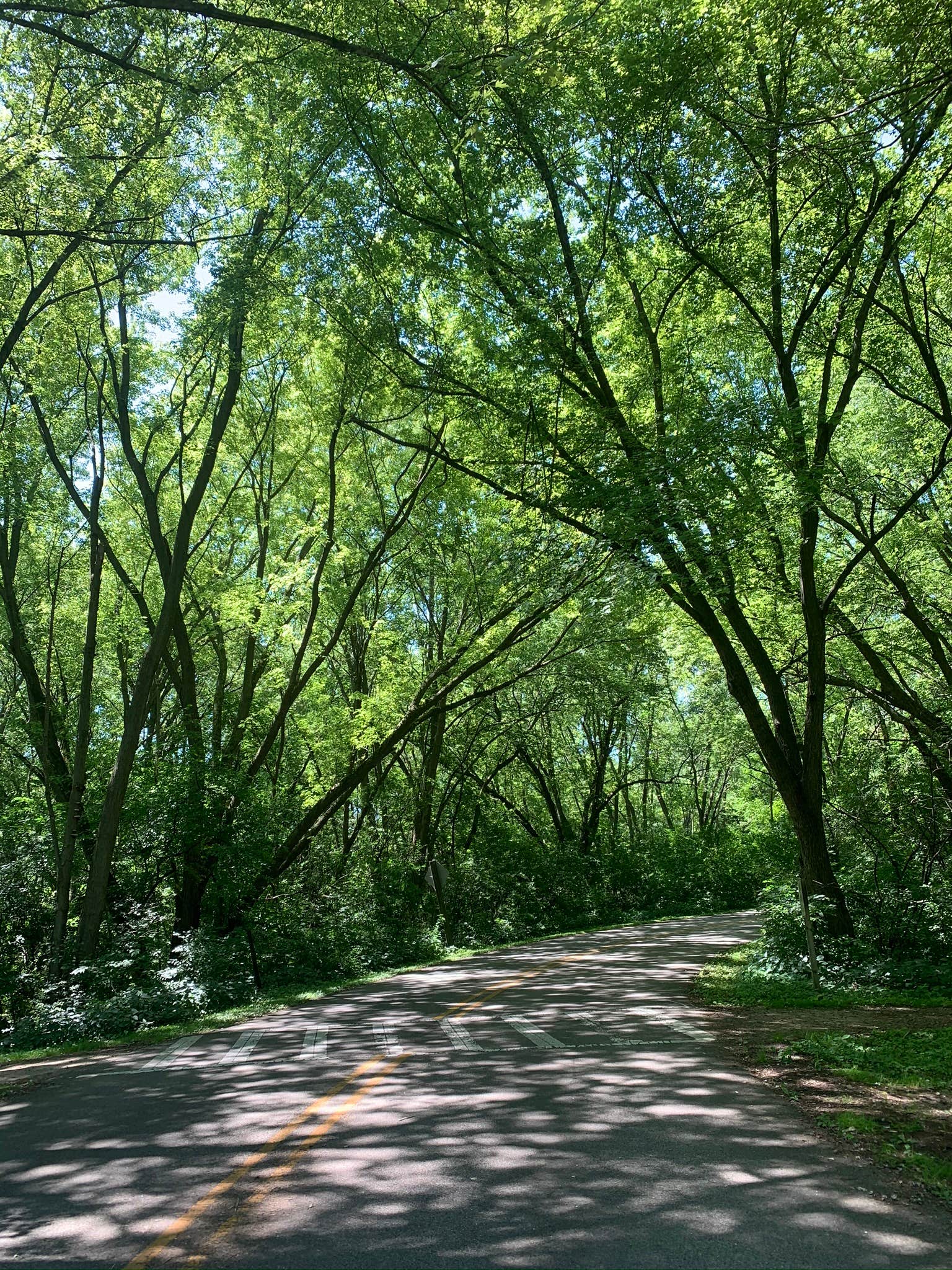 Camper submitted image from Turner Lake South — Chain O' Lakes State Park - 4