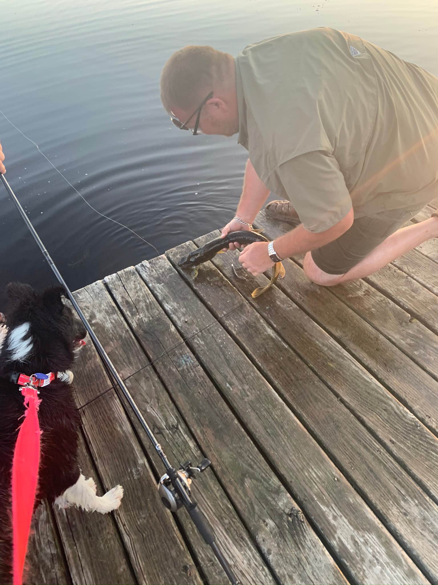 Camper submitted image from Turner Lake South — Chain O' Lakes State Park - 3