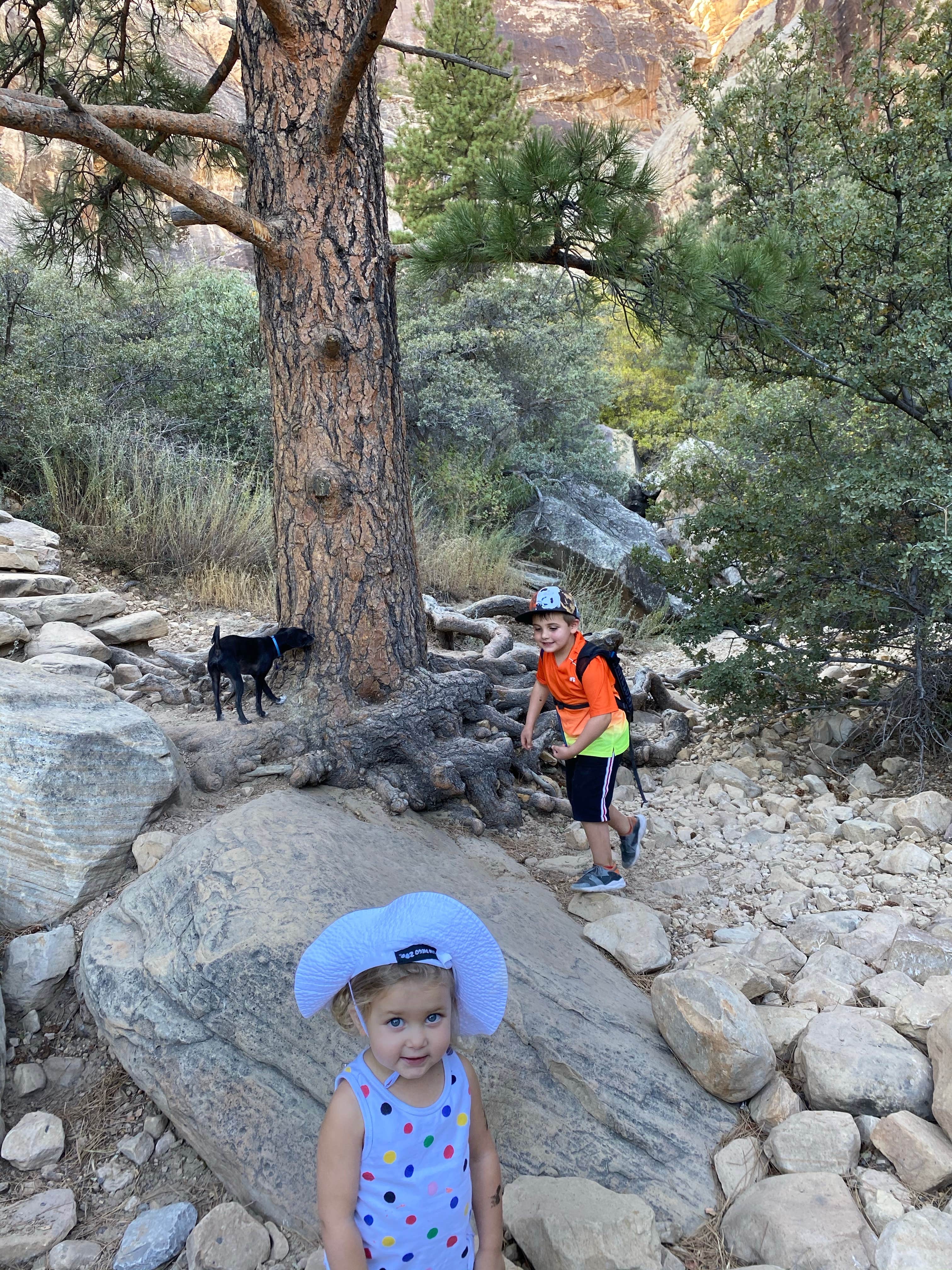 Brittney  C.'s photo of camping with pets at Red Rock Canyon National Conservation Area - Red Rock Campground near Boulder City, NV