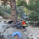 Review photo of Red Rock Canyon National Conservation Area - Red Rock Campground by Brittney  C., October 2, 2020