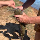 Review photo of Thousand Trails Lake Texoma by Nathan W., December 1, 2020