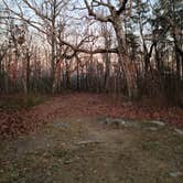 Review photo of Fort Mountain State Park Campground by Tiffany B., December 1, 2020