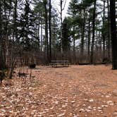 Review photo of Bear Head Lake State Park Campground by HollyRose M., December 1, 2020