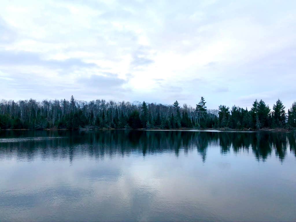 View All