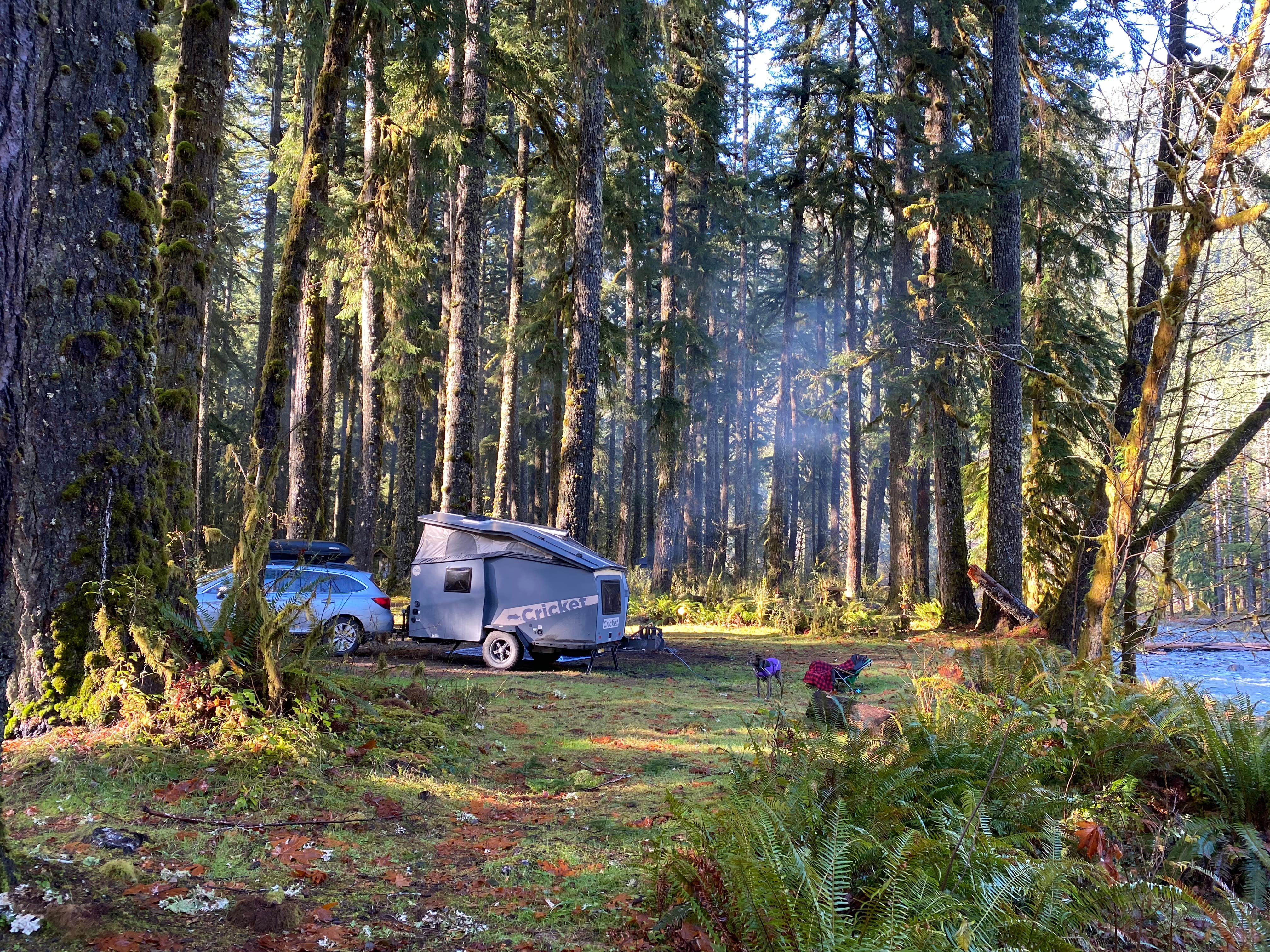 Sarah S.'s photo at Graves Creek Campground — Olympic National Park near Olympic National Park