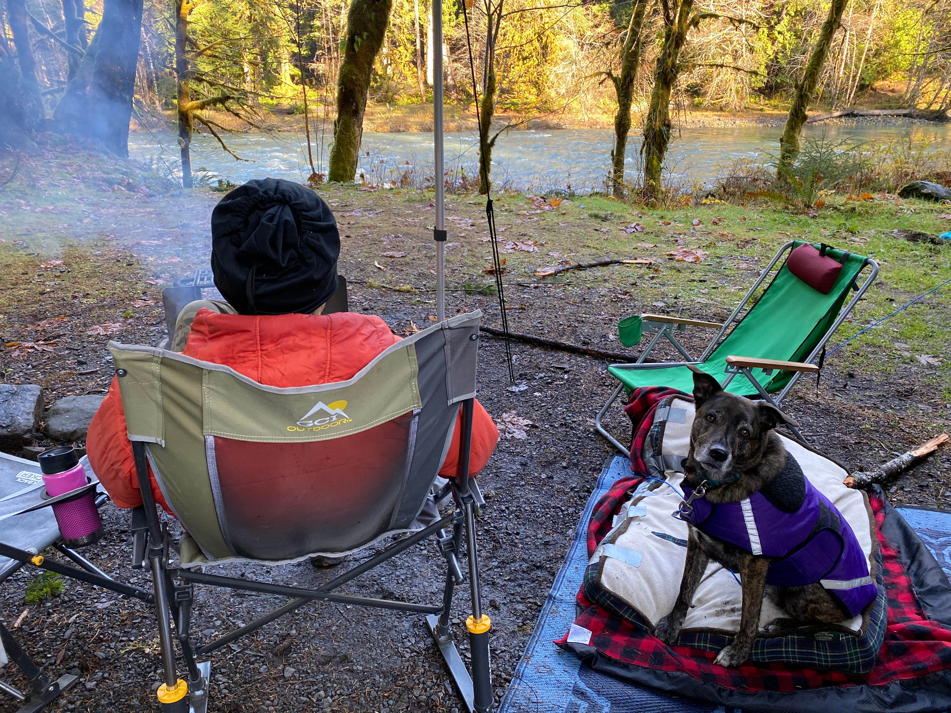 Camper-submitted photo at Graves Creek Campground — Olympic National Park near Olympic National Forest