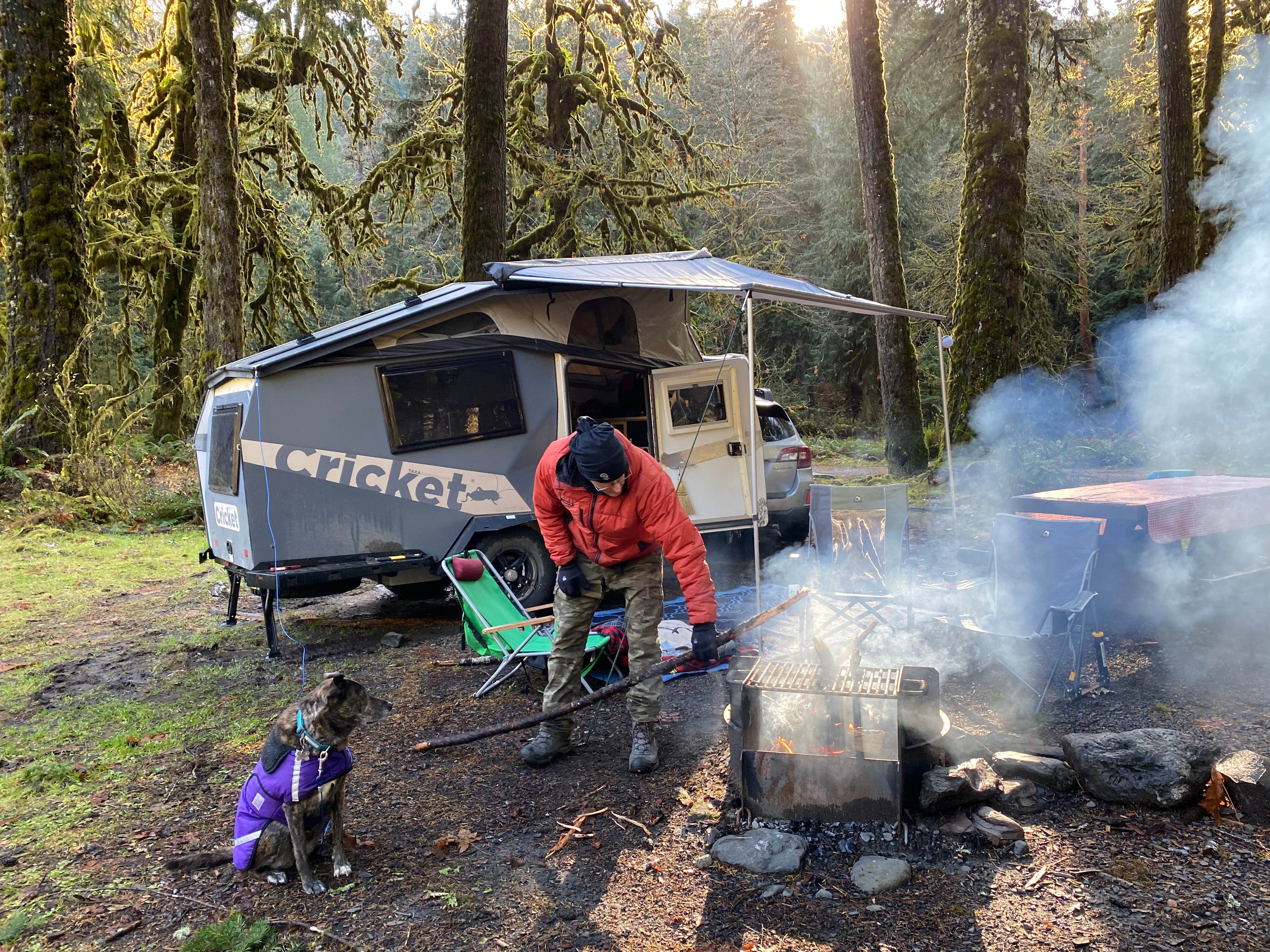 Sarah S.'s photo at Graves Creek Campground — Olympic National Park near Olympic National Park