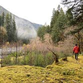 Review photo of Graves Creek Campground — Olympic National Park by Sarah S., December 1, 2020