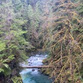 Review photo of Graves Creek Campground — Olympic National Park by Sarah S., December 1, 2020