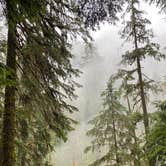 Review photo of Graves Creek Campground — Olympic National Park by Sarah S., December 1, 2020