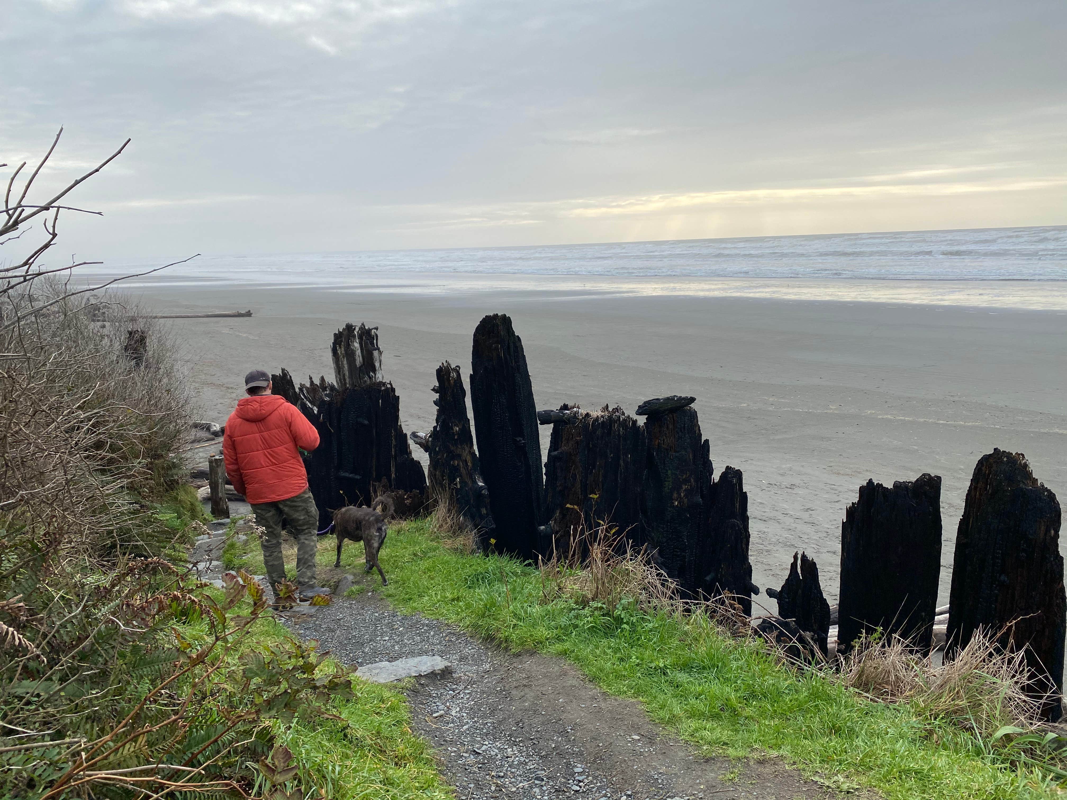 Sarah S.'s photo of camping with pets at Kalaloch Campground - group — Olympic National Park near Olympic National Park