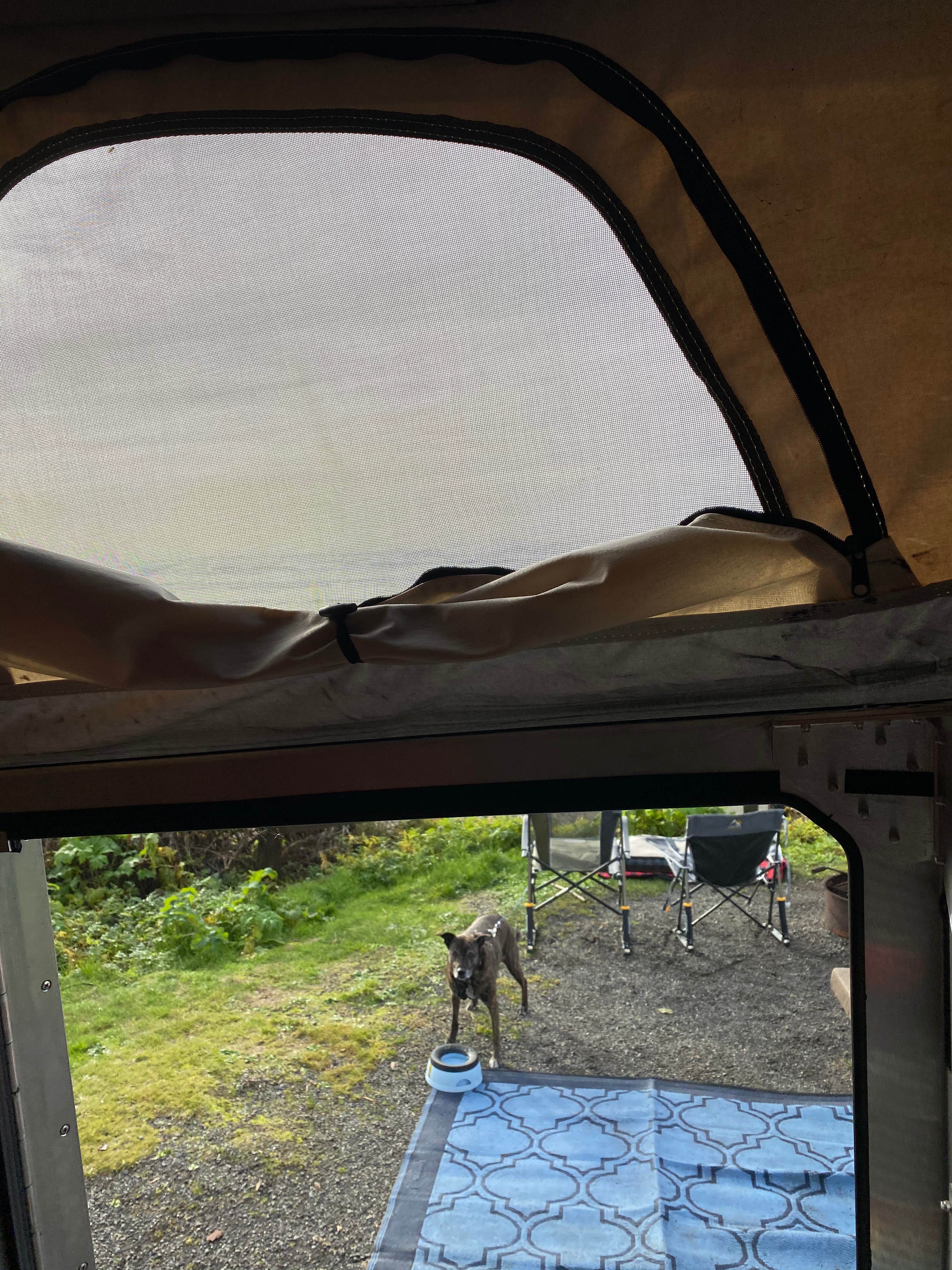 Sarah S.'s photo of camping with pets at Kalaloch Campground - group — Olympic National Park near Taholah, WA