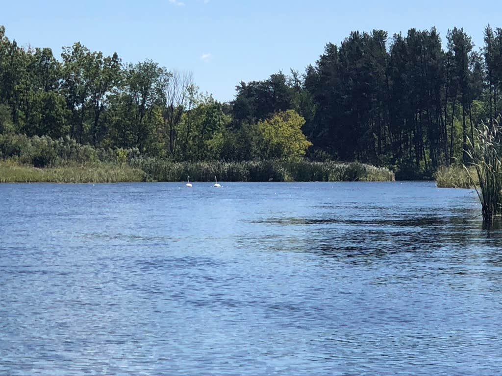 Camper-submitted photo at South Bend Watercraft Site near Palisade, MN