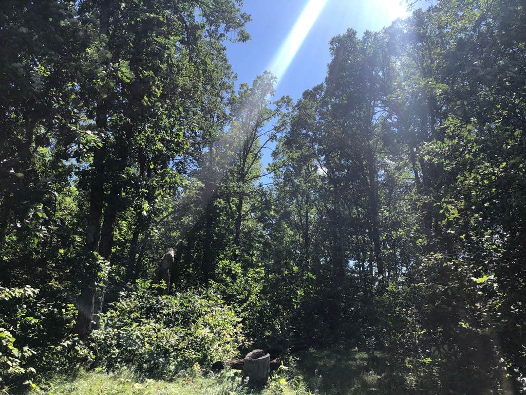 Camper-submitted photo at South Bend Watercraft Site near Palisade, MN
