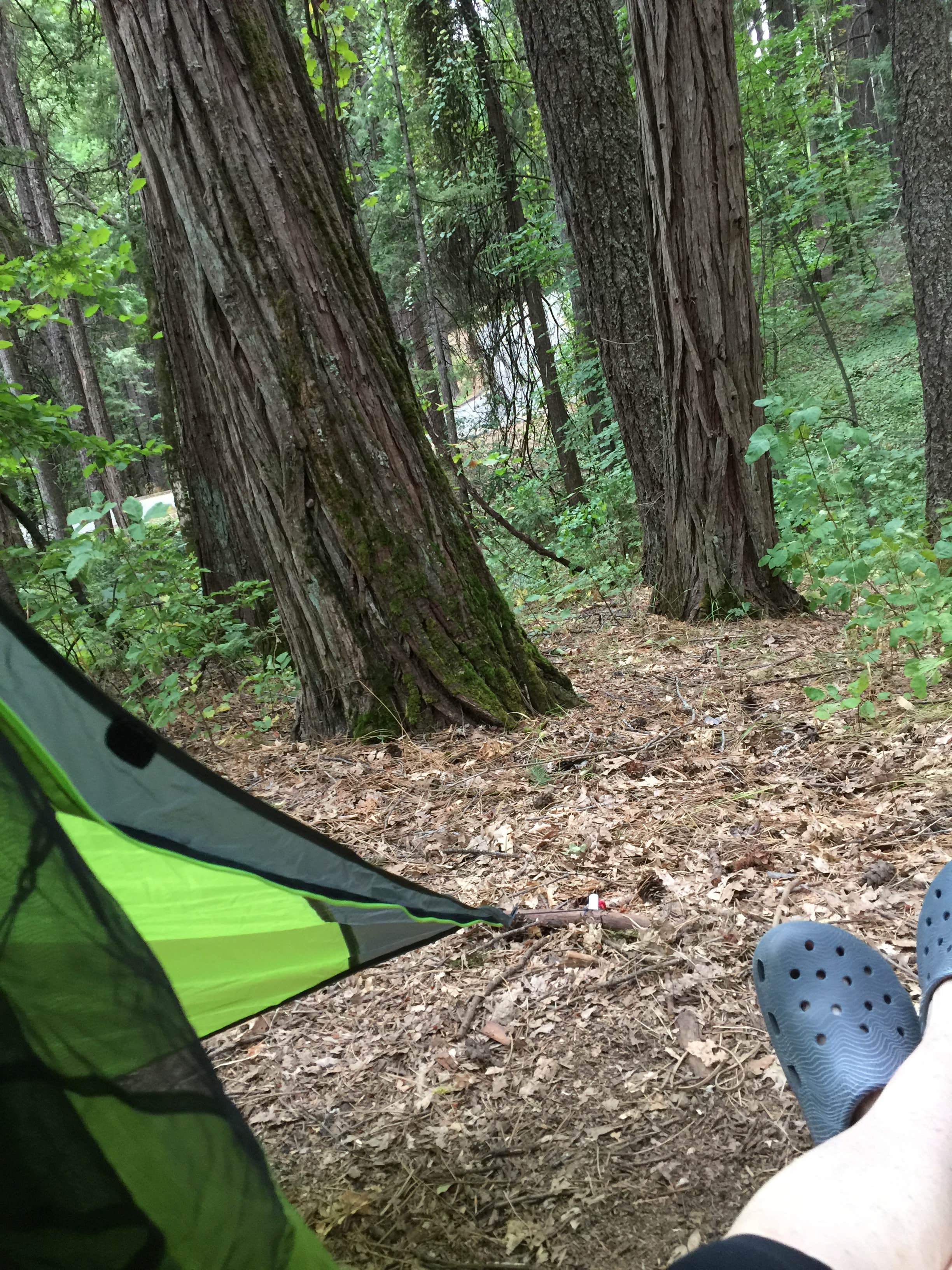 Maureen F.'s photo at Castle Crags State Park Campground near Castella, CA