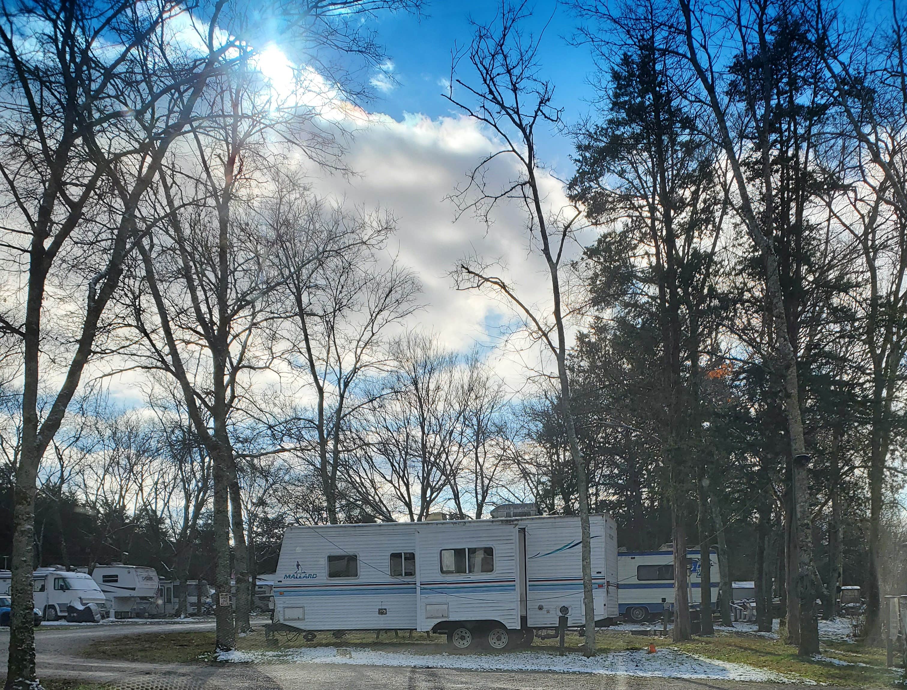Camper-submitted photo at River Road RV Park & Horse Camp near Fosterville, TN