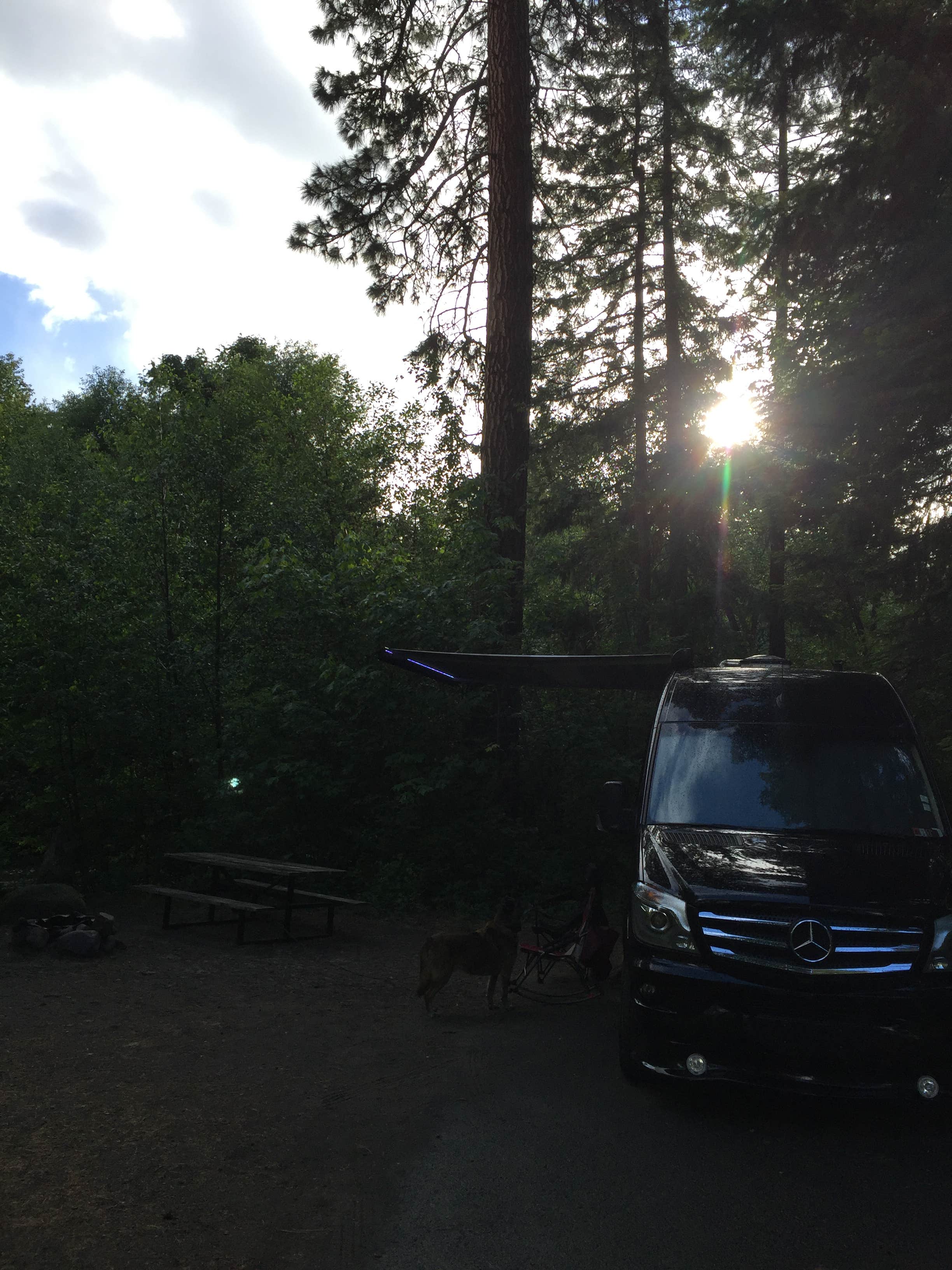 Camper submitted image from Yakima Sportsman State Park Campground - 1