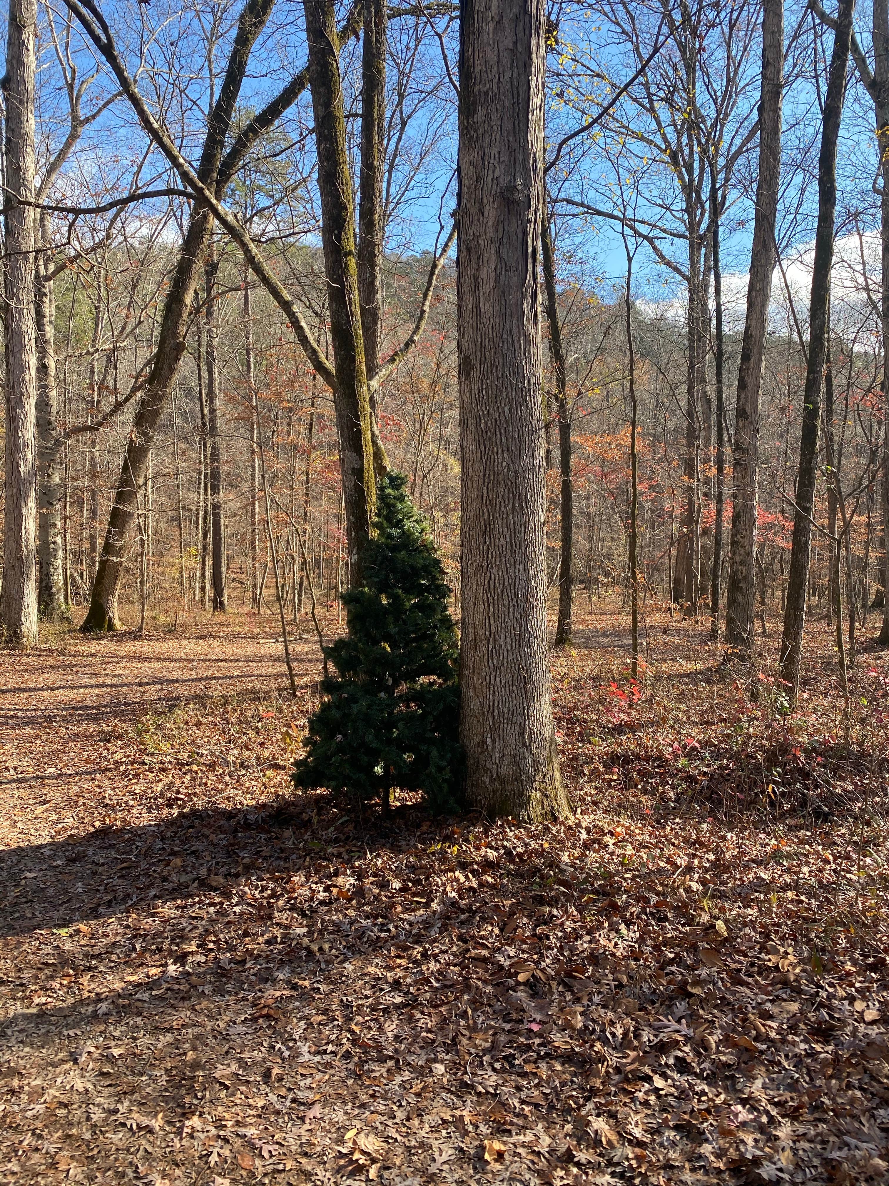 Camper-submitted photo at Hidden Creek near Cave Spring, GA