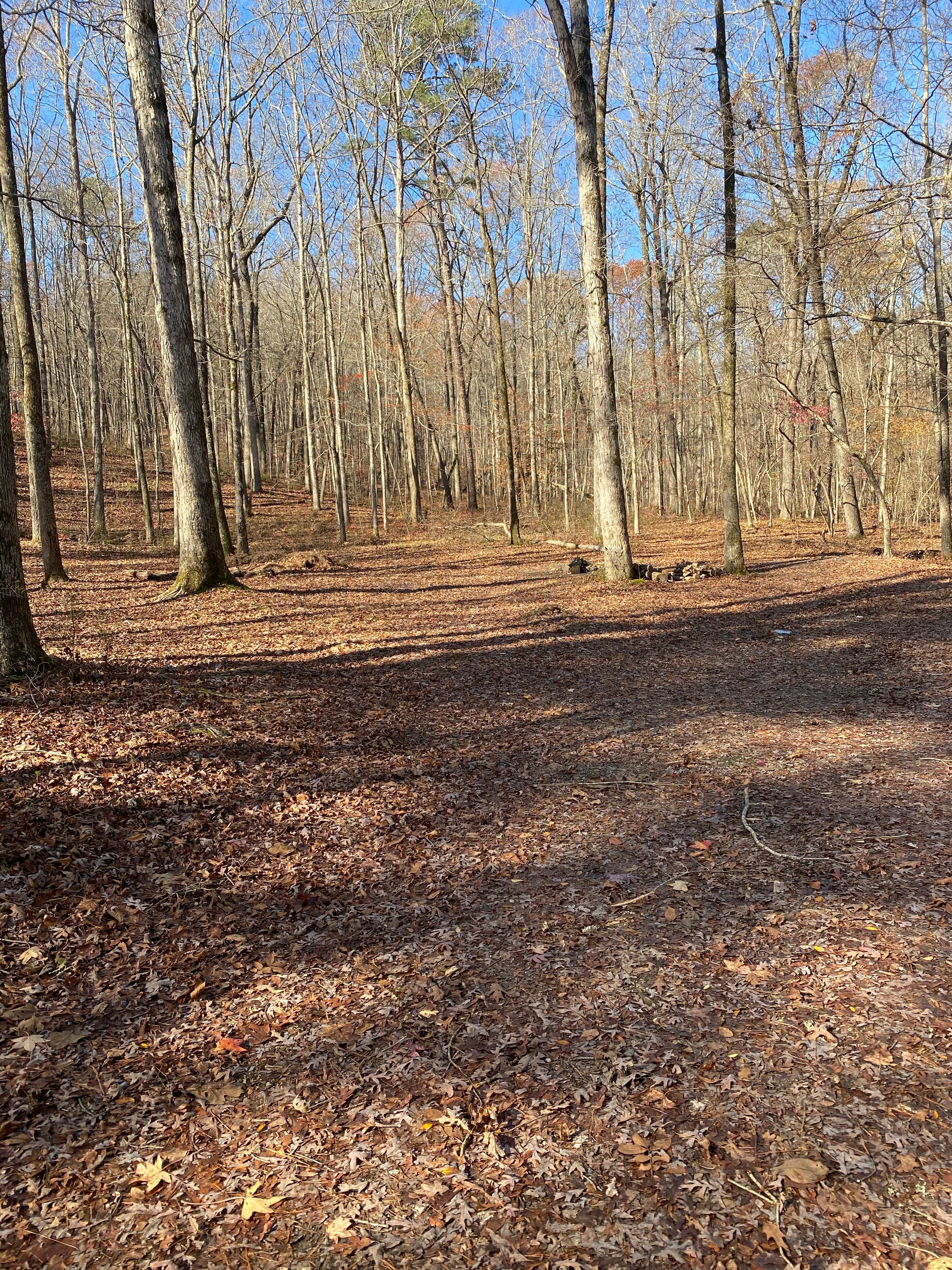 Camper-submitted photo at Hidden Creek near Cave Spring, GA