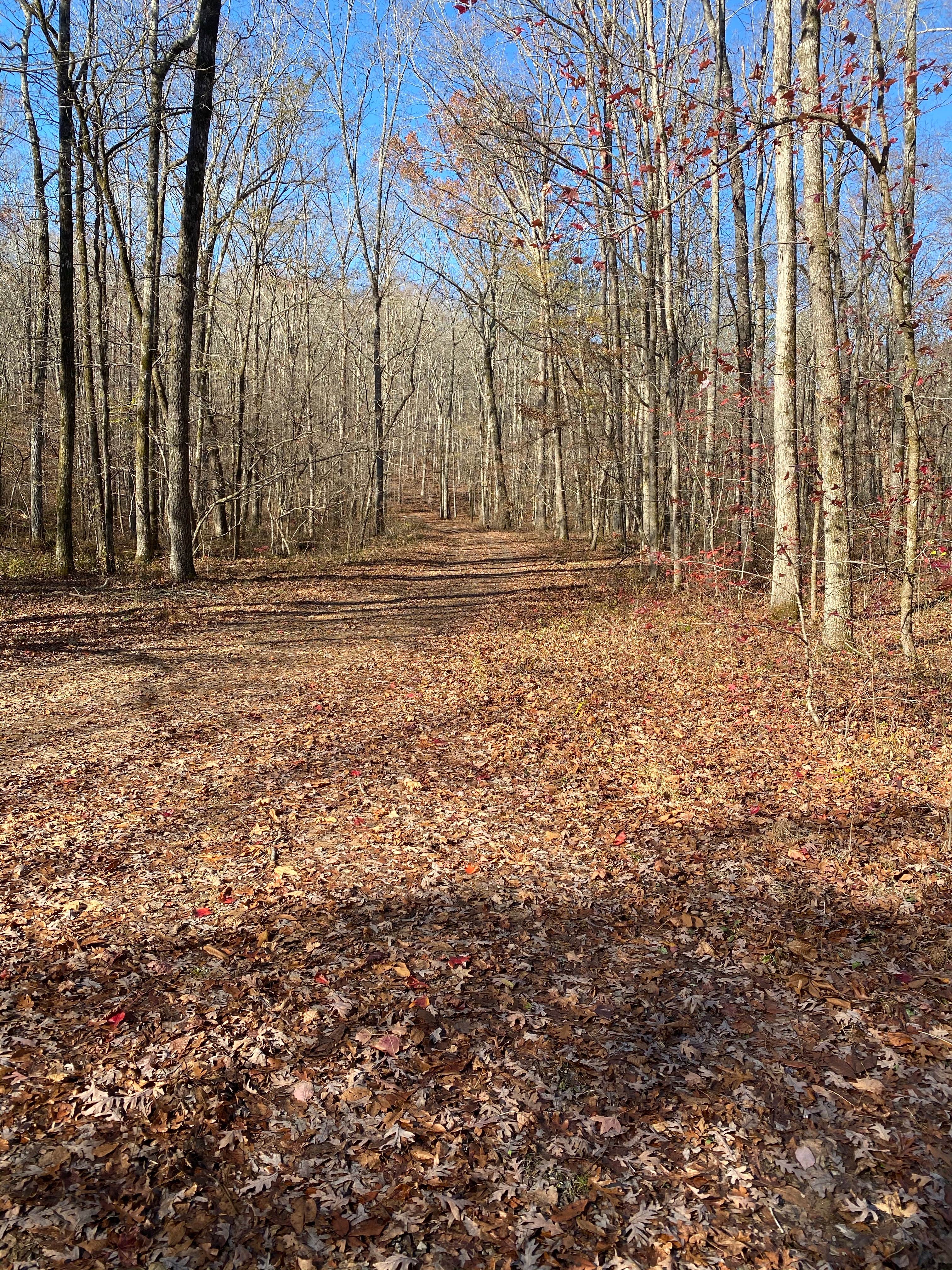 Camping near John's Mountain WMA: Hidden Creek, Calhoun, Georgia