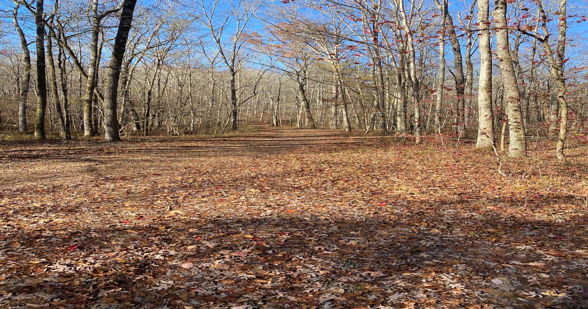 Hidden Creek