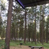 Review photo of Union Creek Campground by Maureen F., December 2, 2020