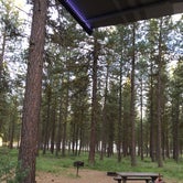 Review photo of Wallowa-Whitman National Forest Union Creek Campground by Maureen F., December 2, 2020