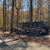 Review photo of Buck's Pocket State Park Campground by Ray & Terri F., December 2, 2020