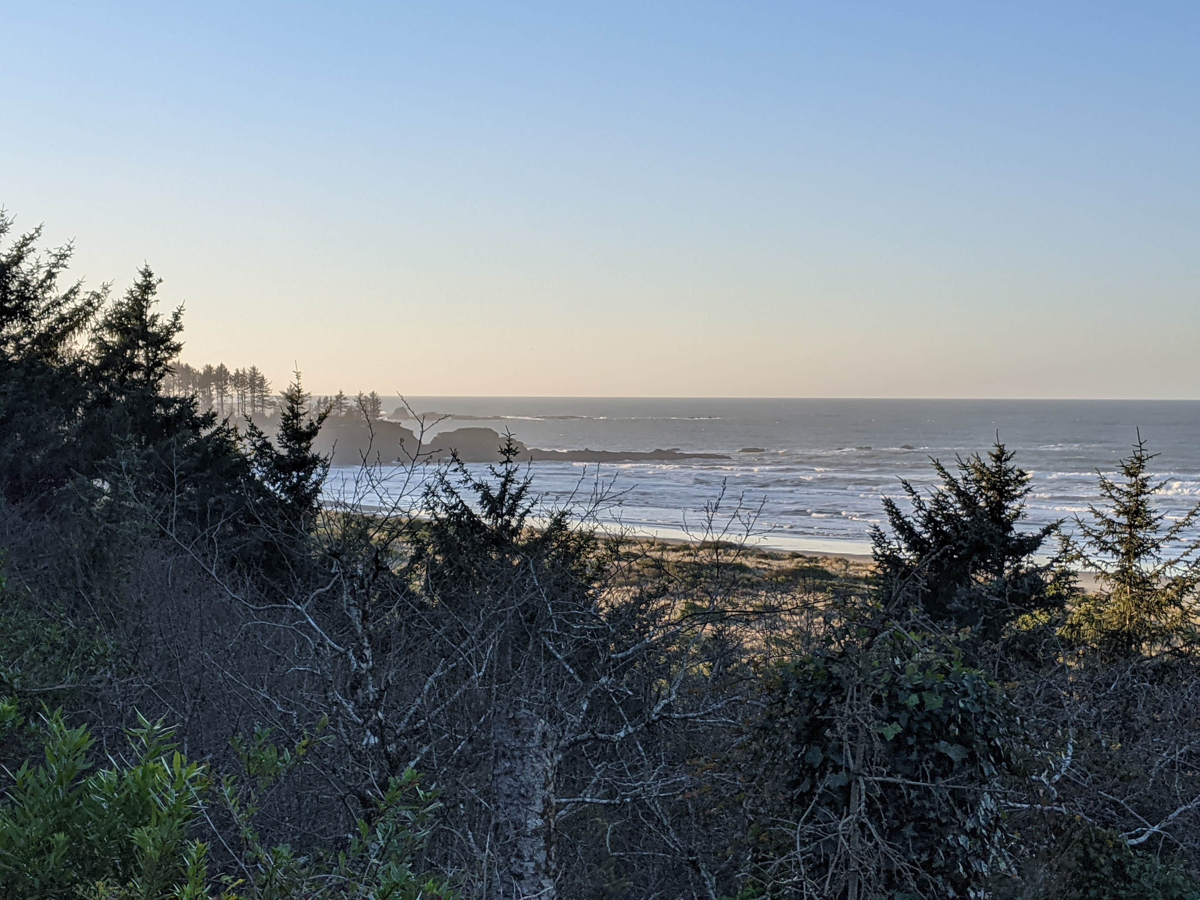 View All