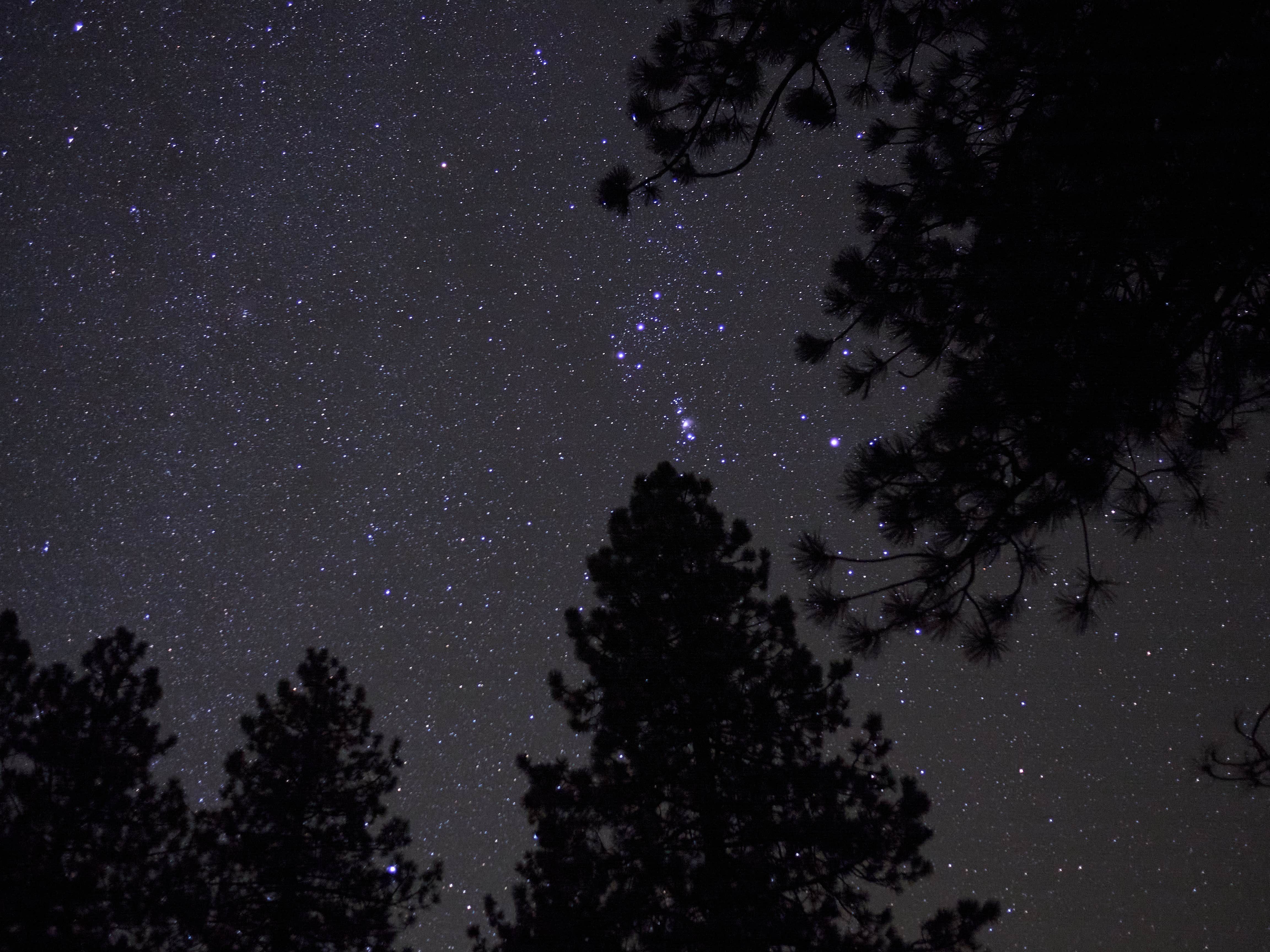 Camper-submitted photo at Marian Campground near Maricopa, CA