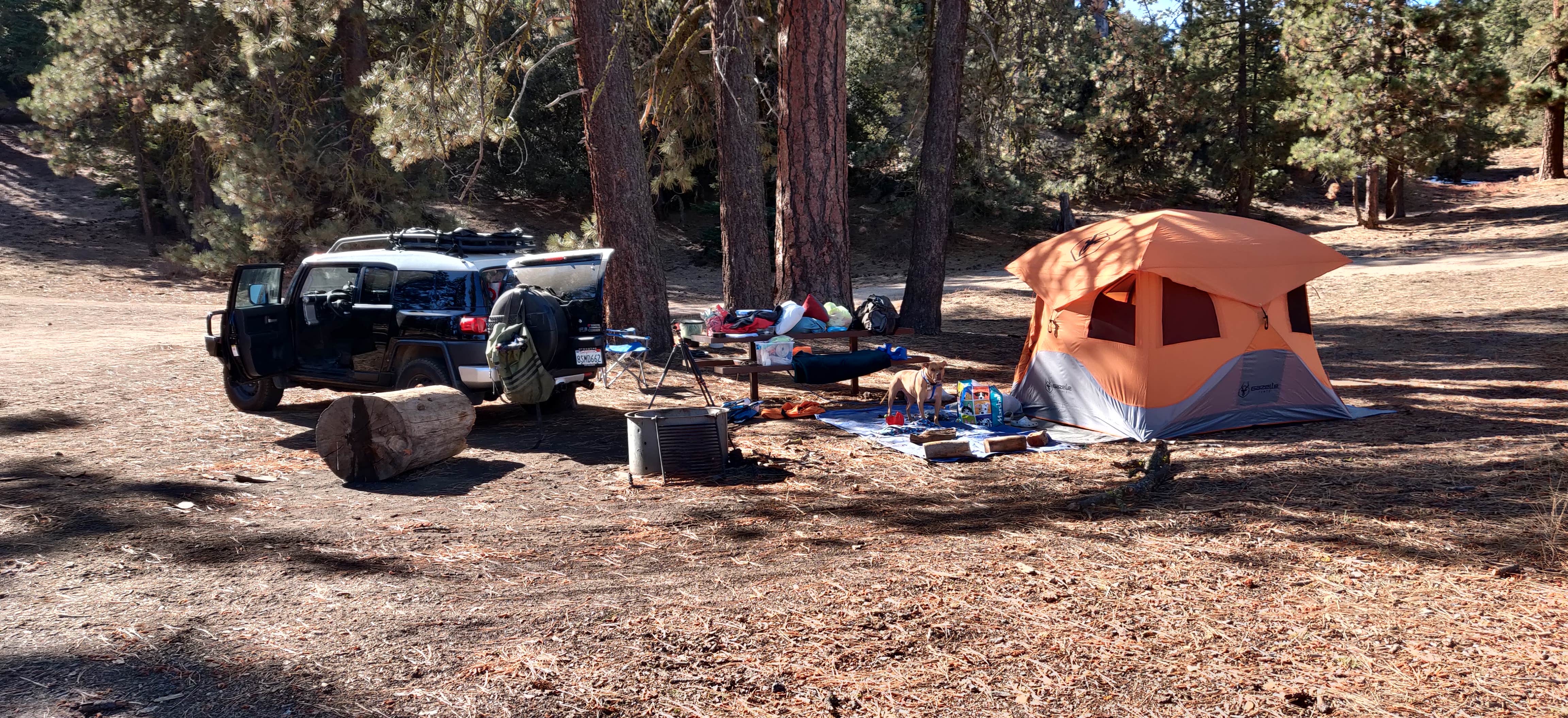 Camping near Bethany Pines: Marian Campground, Pine Mountain Club, California