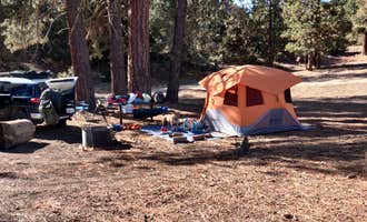 Camping near Bethany Pines: Marian Campground, Pine Mountain Club, California