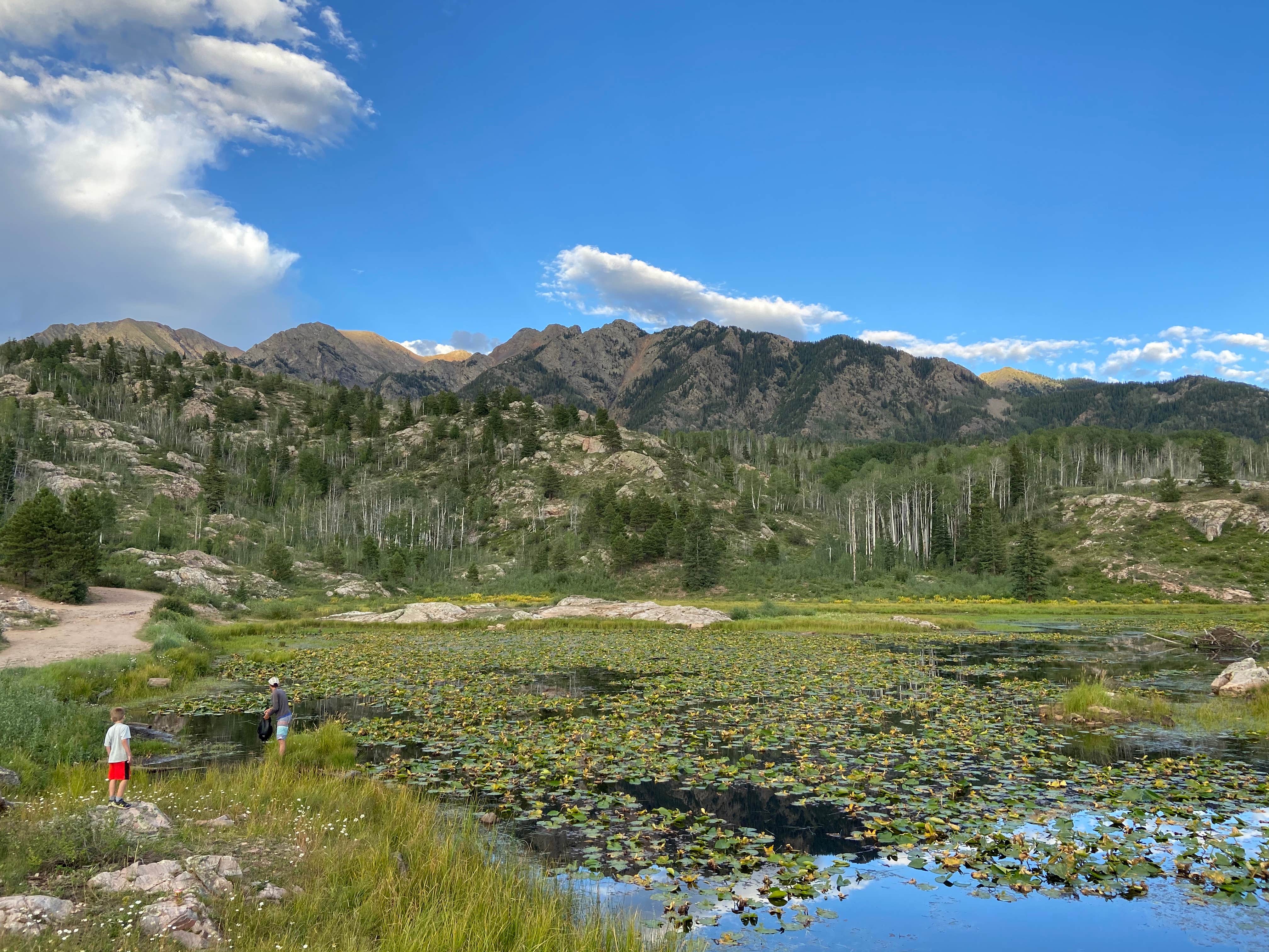 Camper-submitted photo at Old lime creek road beaver bond near Purgatory, CO
