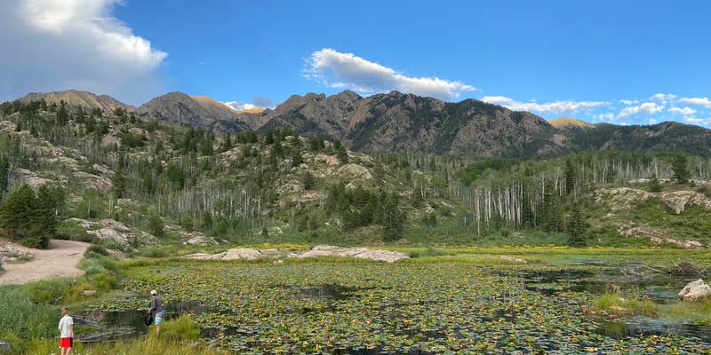 Camper submitted image from Old lime creek road beaver bond