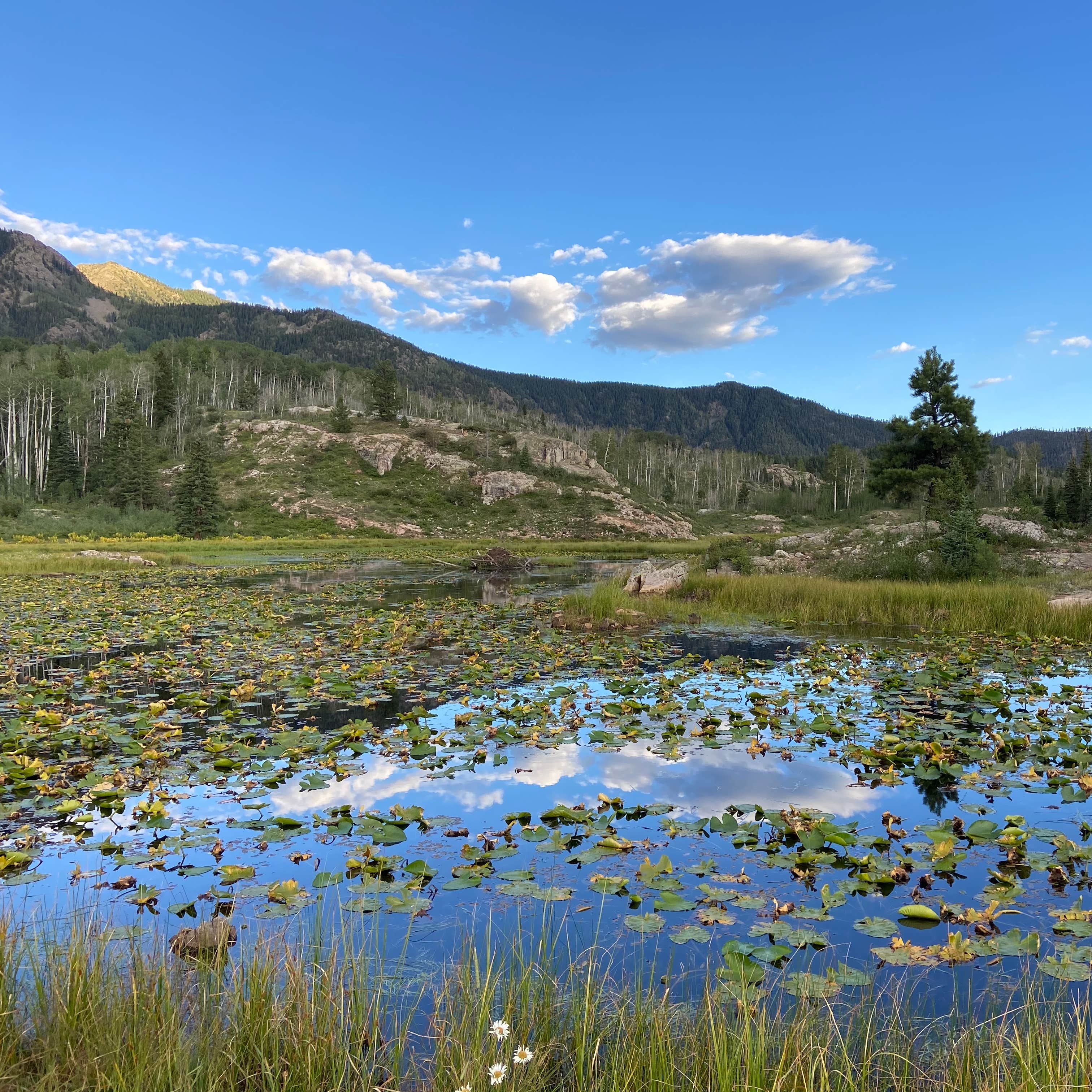 Old lime creek road beaver bond Camping | The Dyrt