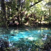 Review photo of Juniper Springs Rec Area - Tropical Camp Area by Riley N., December 2, 2020