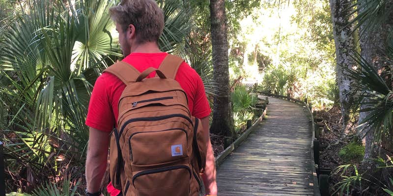 Camper submitted image from Juniper Springs Rec Area - Tropical Camp Area