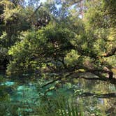 Review photo of Juniper Springs Rec Area - Tropical Camp Area by Riley N., December 2, 2020