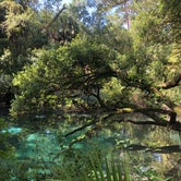Review photo of Juniper Springs Rec Area - Tropical Camp Area by Riley N., December 2, 2020
