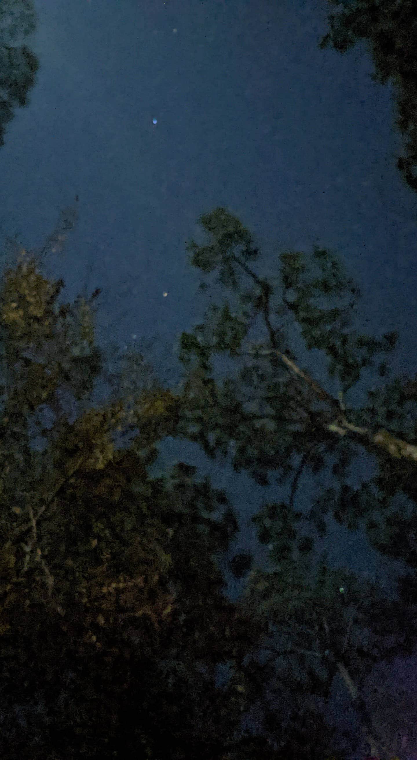 Camper-submitted photo at Dr. Julian G. Bruce St. George Island State Park Campground near Eastpoint, FL