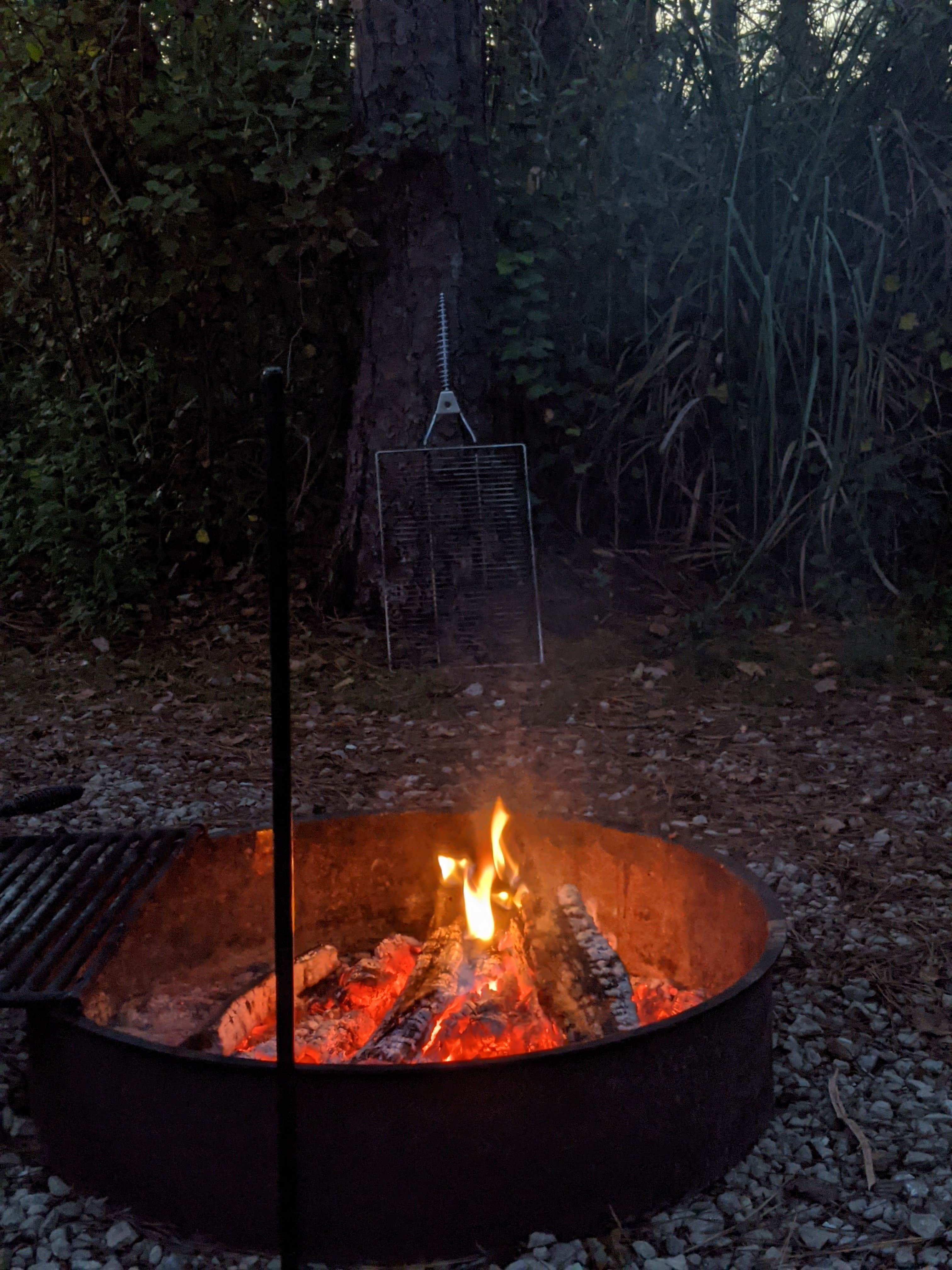 Camper-submitted photo at Dr. Julian G. Bruce St. George Island State Park Campground near Eastpoint, FL
