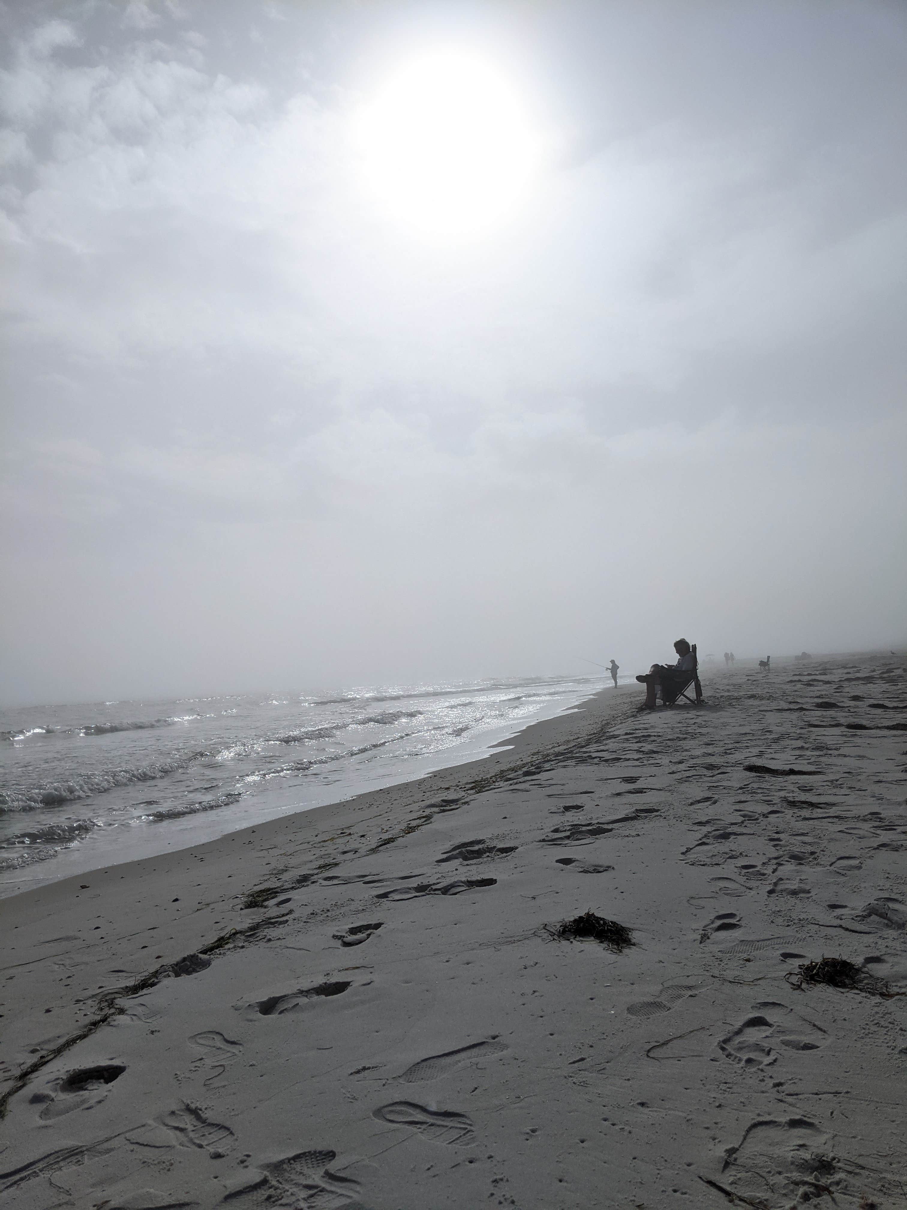 Camper-submitted photo at Dr. Julian G. Bruce St. George Island State Park Campground near Eastpoint, FL