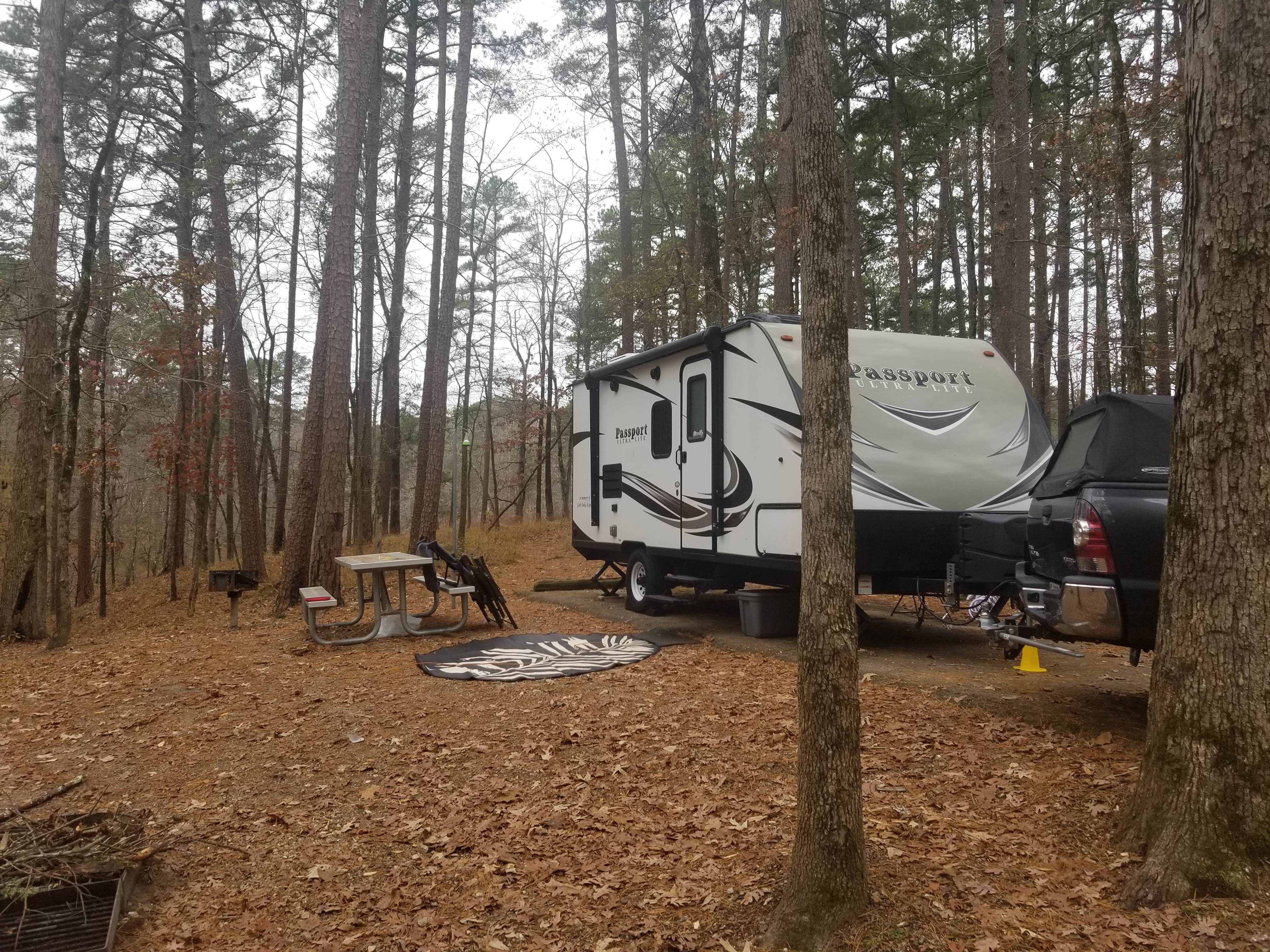 Camper-submitted photo at Denby Point near Oden, AR