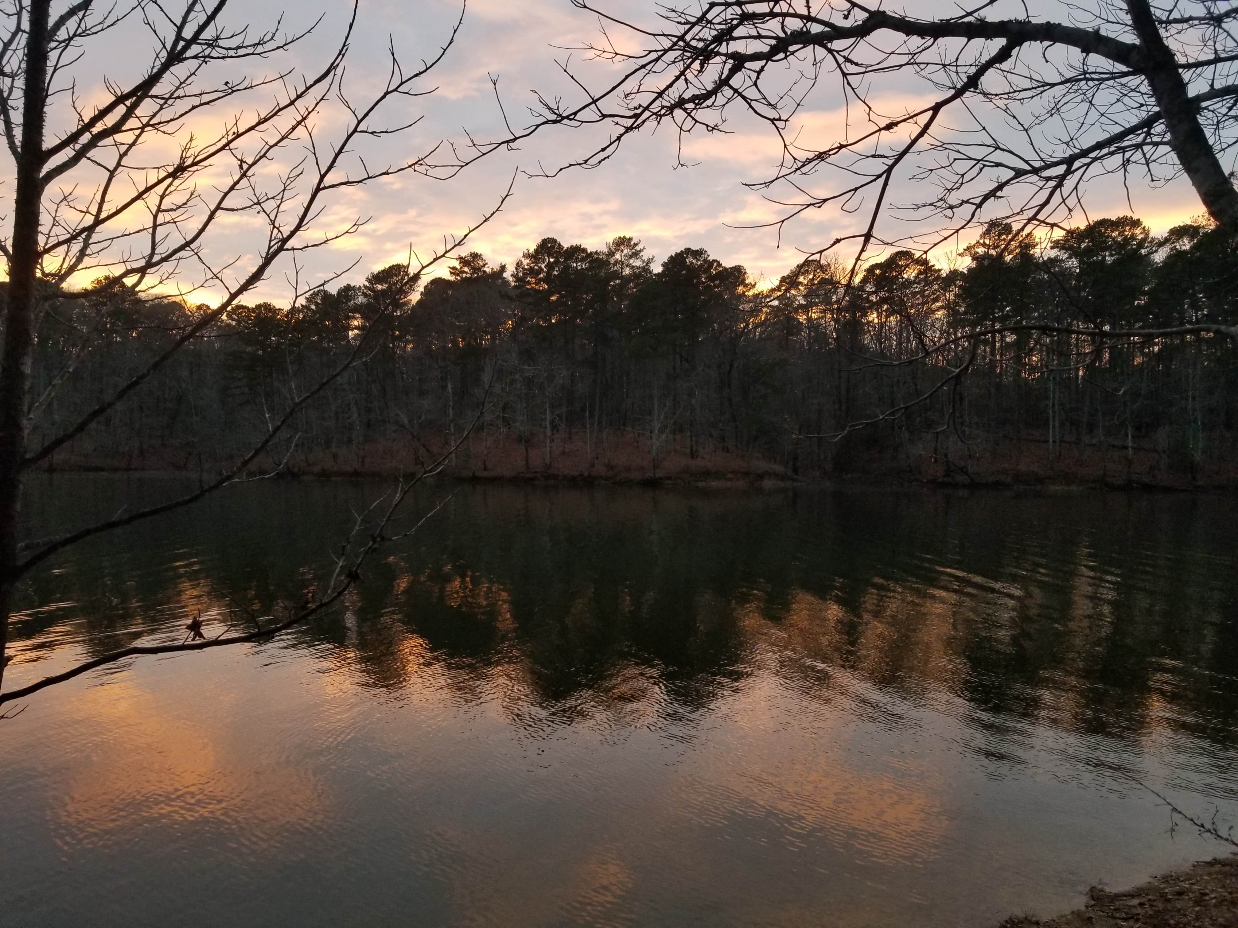 Camper-submitted photo at Denby Point near Oden, AR
