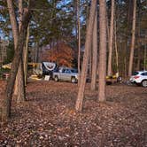 Review photo of Tugaloo State Park Campground by Liz H., December 3, 2020