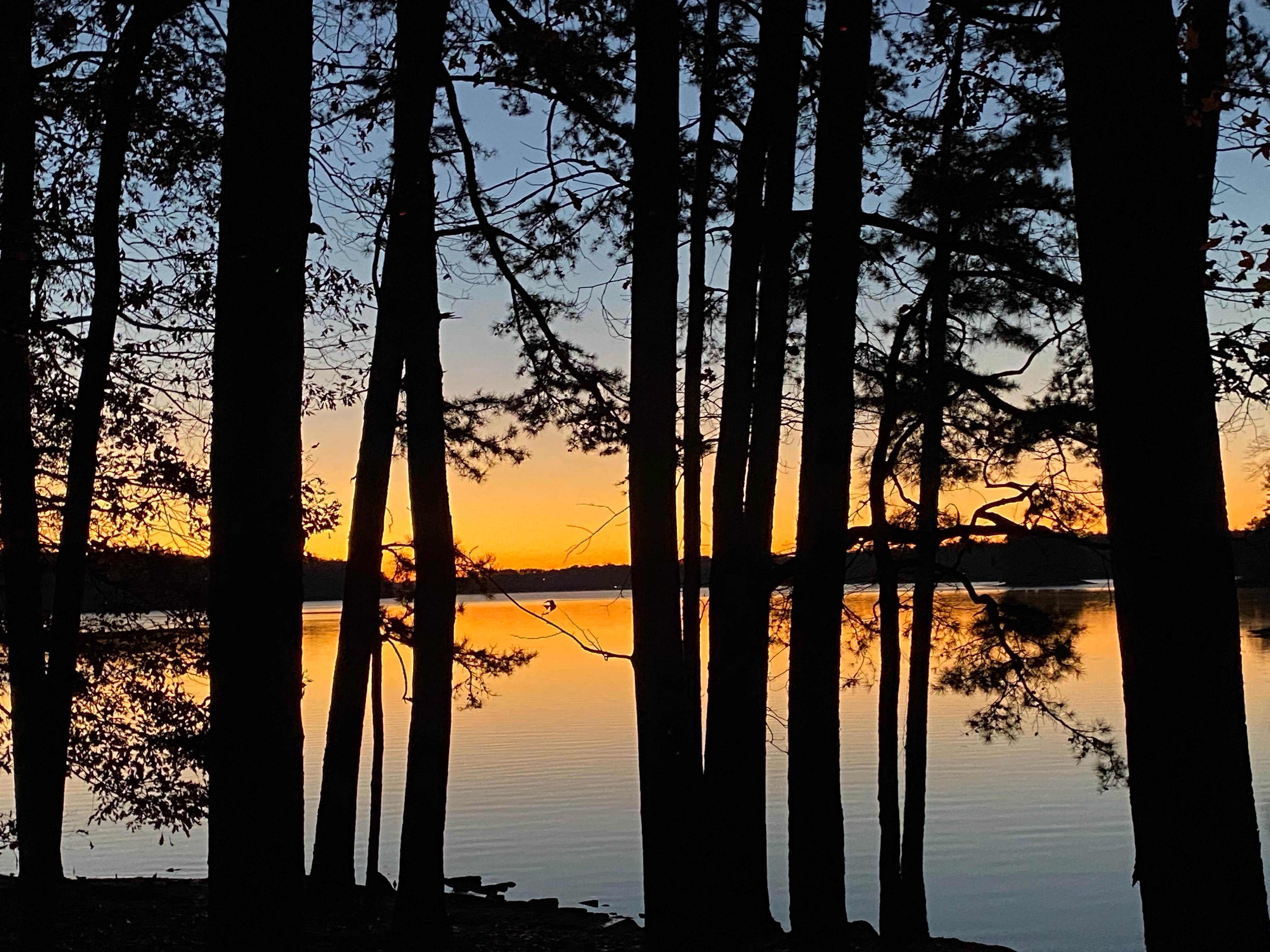 Camper-submitted photo at Tugaloo State Park Campground near Lavonia, GA