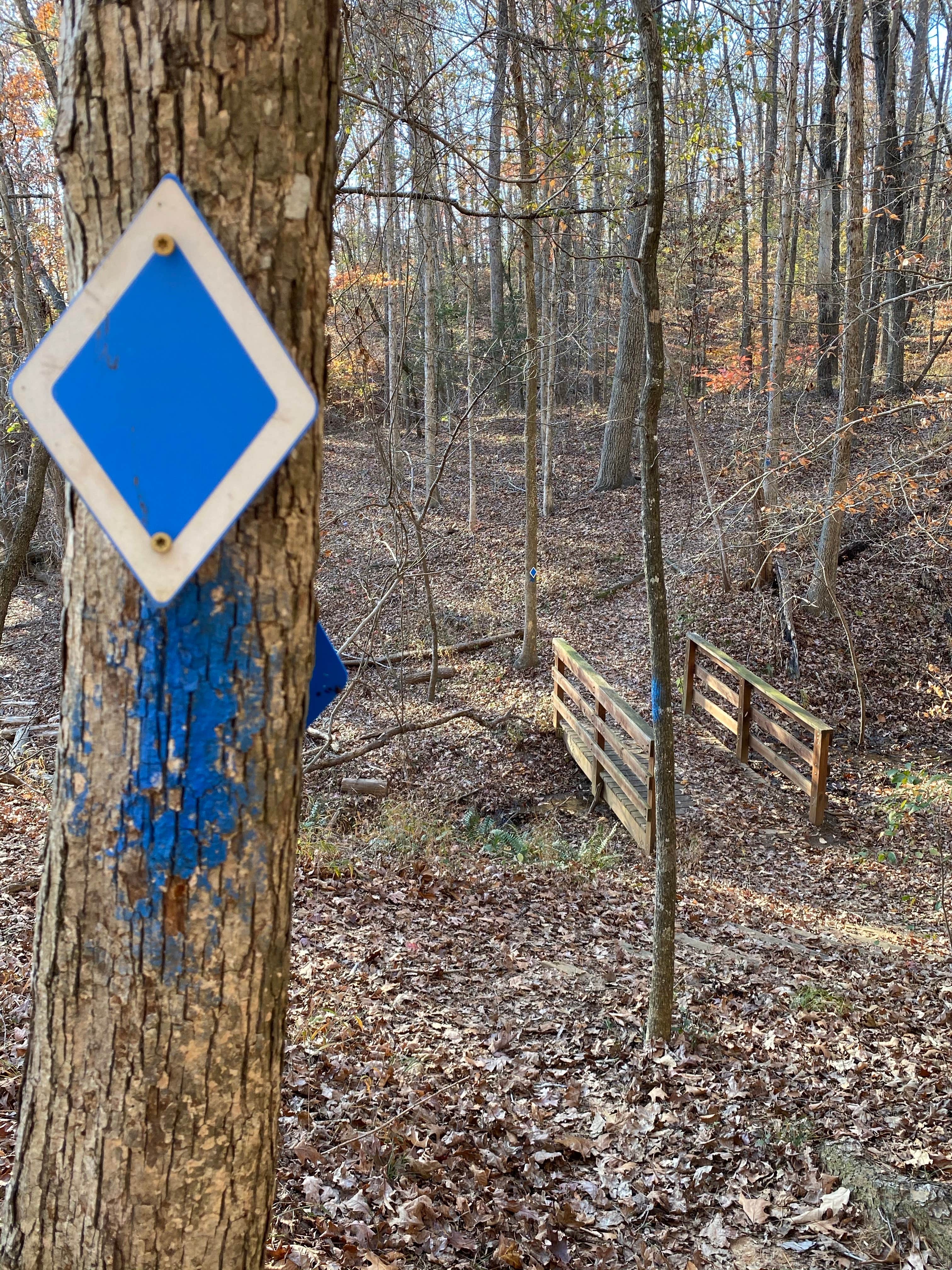 Camper-submitted photo at Tugaloo State Park Campground near Lavonia, GA