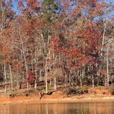 Review photo of Tugaloo State Park Campground by Liz H., December 3, 2020