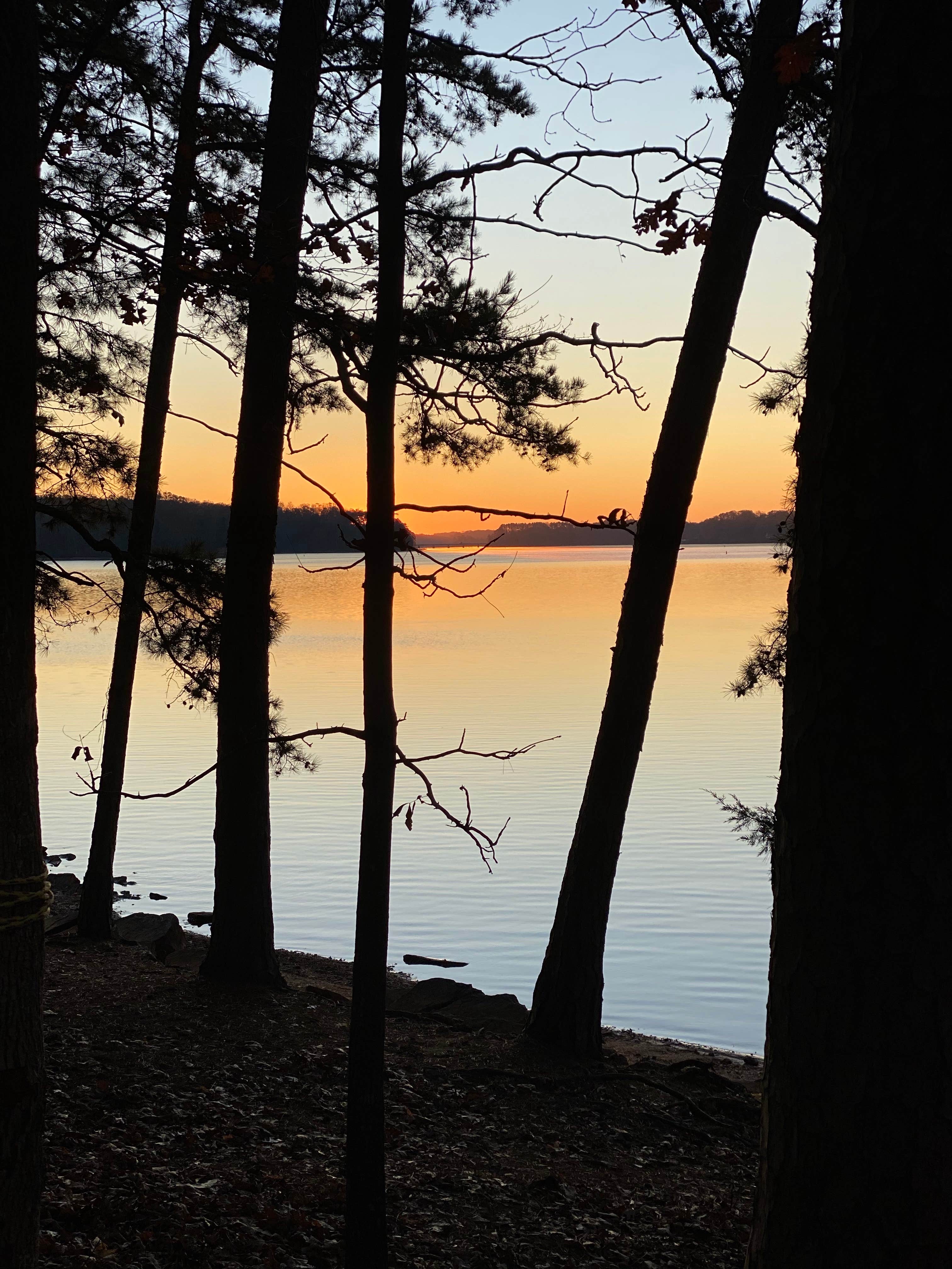 Camper-submitted photo at Tugaloo State Park Campground near Lavonia, GA