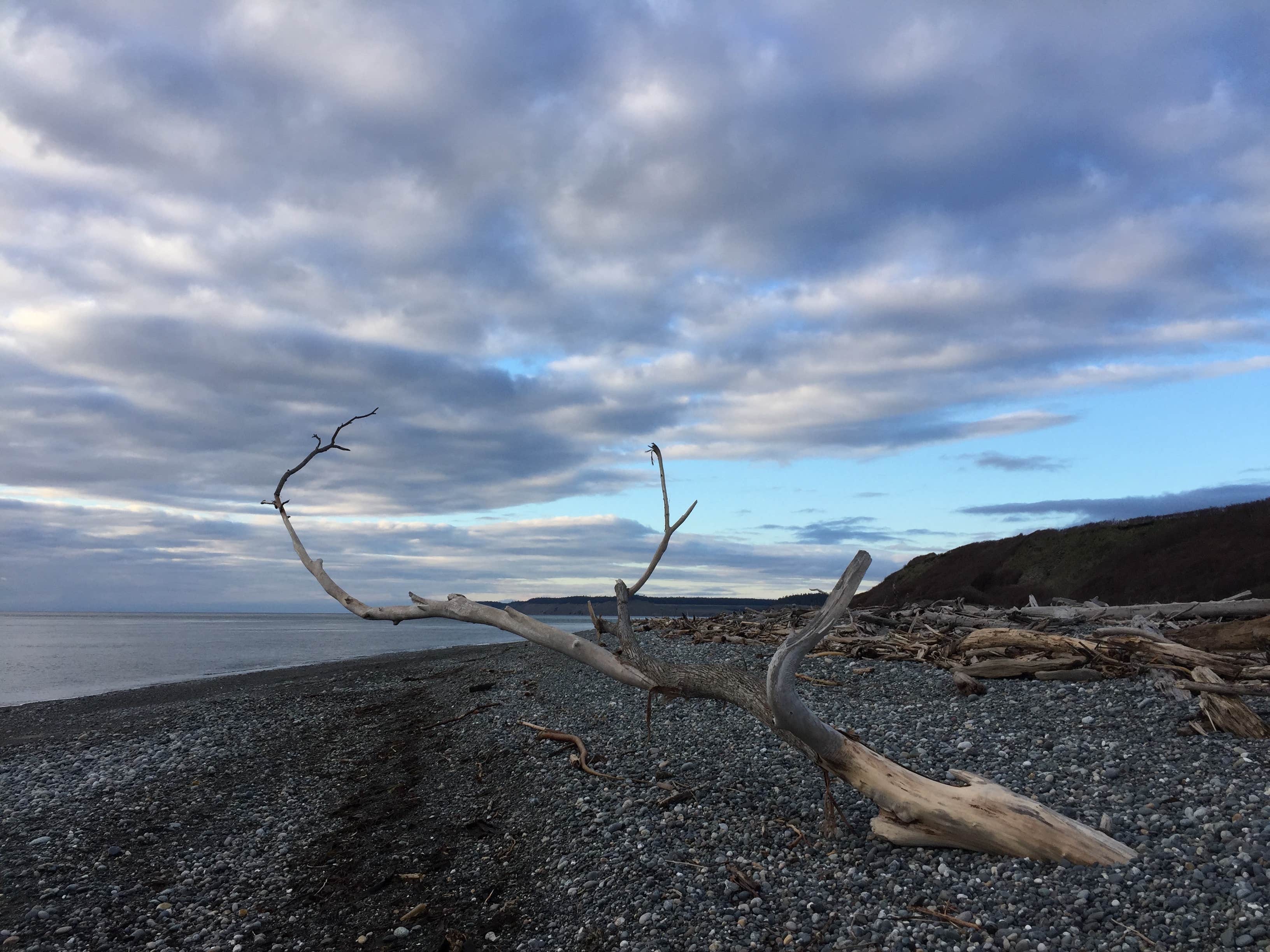 Camper submitted image from Fort Casey Campground - 1